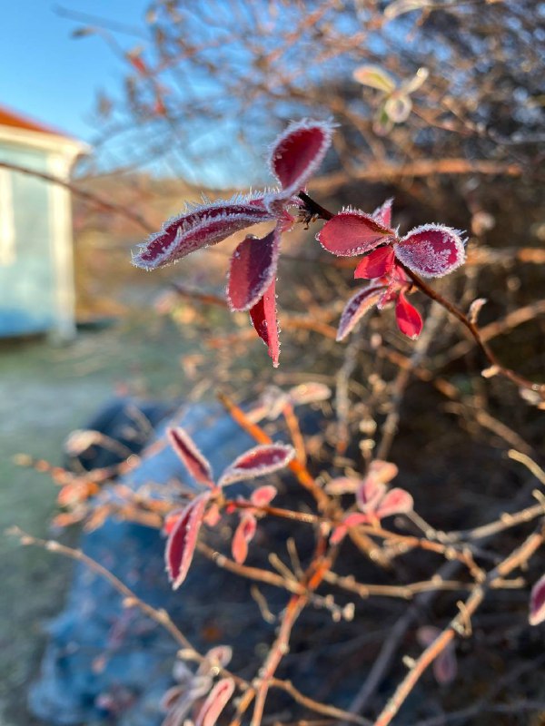 🌱 ПОДАРКИ ПРИРОДЫ 🌱