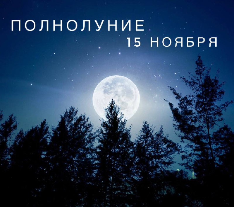 **15 ноября