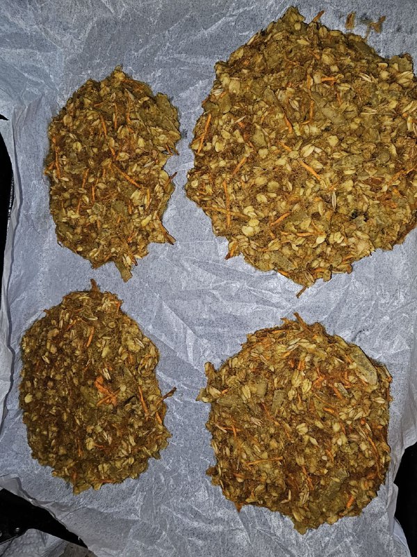 Наталья VEG и семья хвостиков. Моменты …
