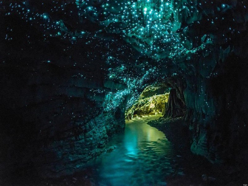 Пещера Светлячков, Новая Зеландия