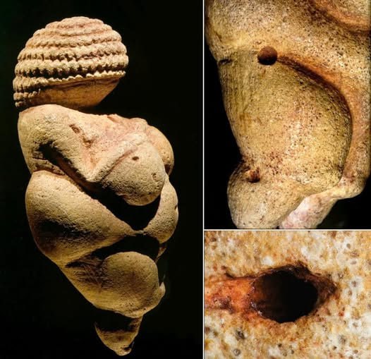 **Die Venus von Willendorf: Ein prähistorisches …