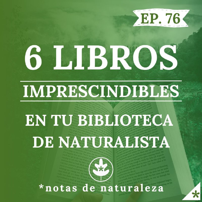 En el episodio de hoy te …