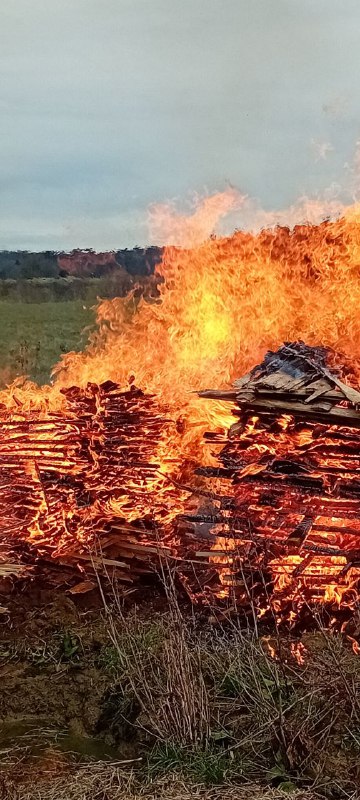 Feuer hilft dir bei den Fragen: