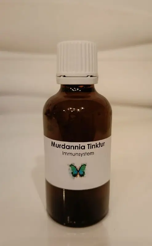 Murdannia Tinktur 50 ml