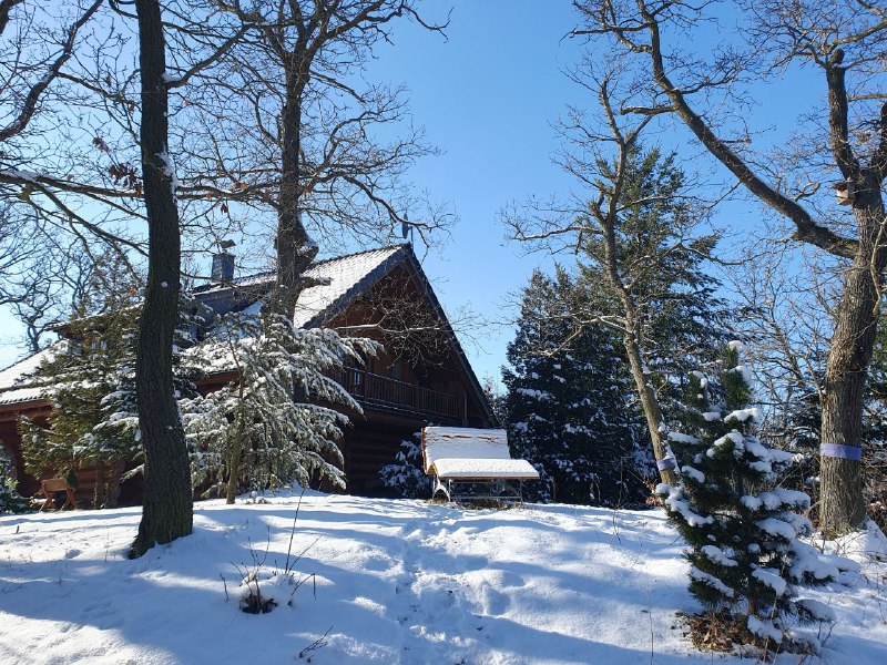 🍁Naturtraum Georgshöhe 🍂 Pension/Unterkunft