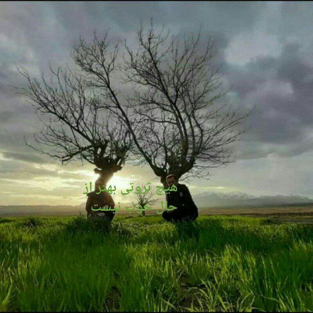 **هیچ ثروتی با ارزش تر از …