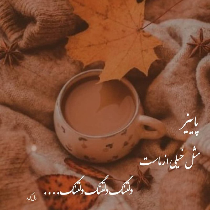 ***❤️***قلب های مهربان***❤️***