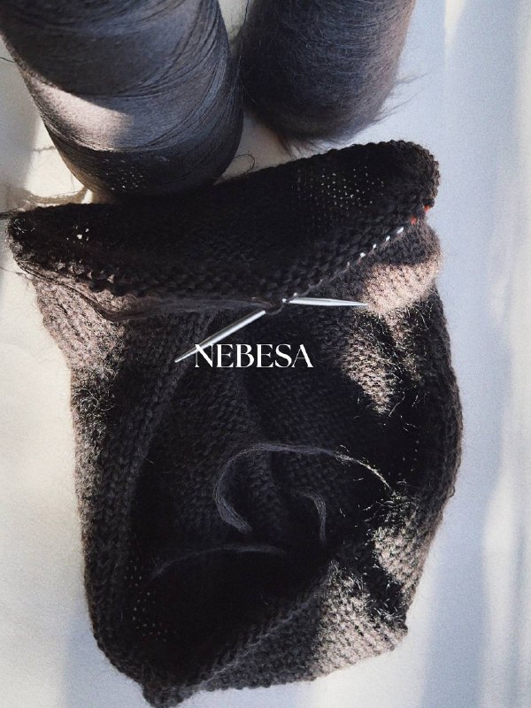 NEBESA