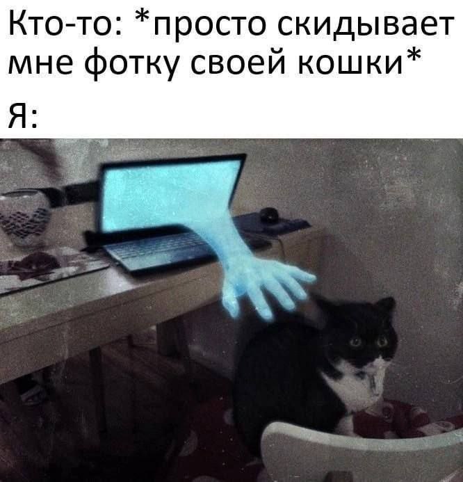 Недомемном