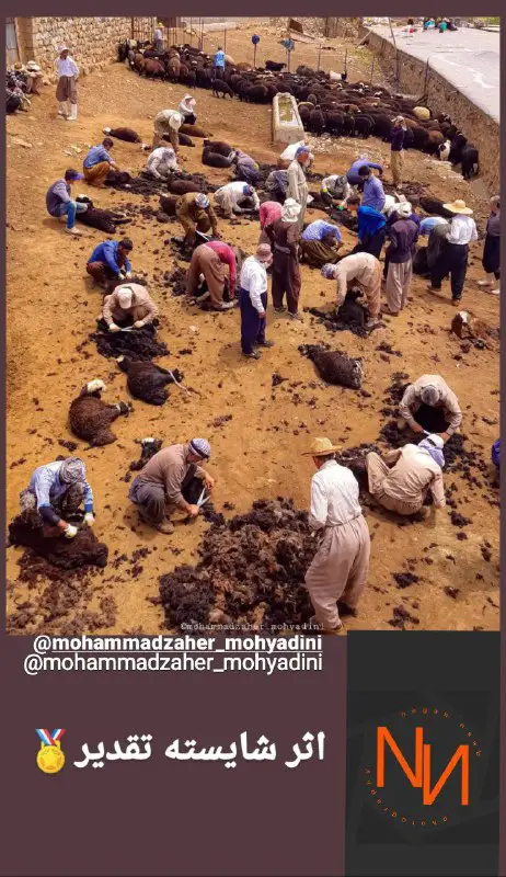 کانال نگاه ناب