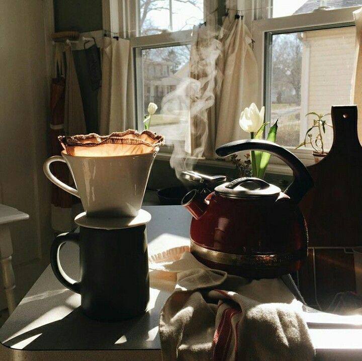 طولي نكشيد كه بوي تازه ي …
