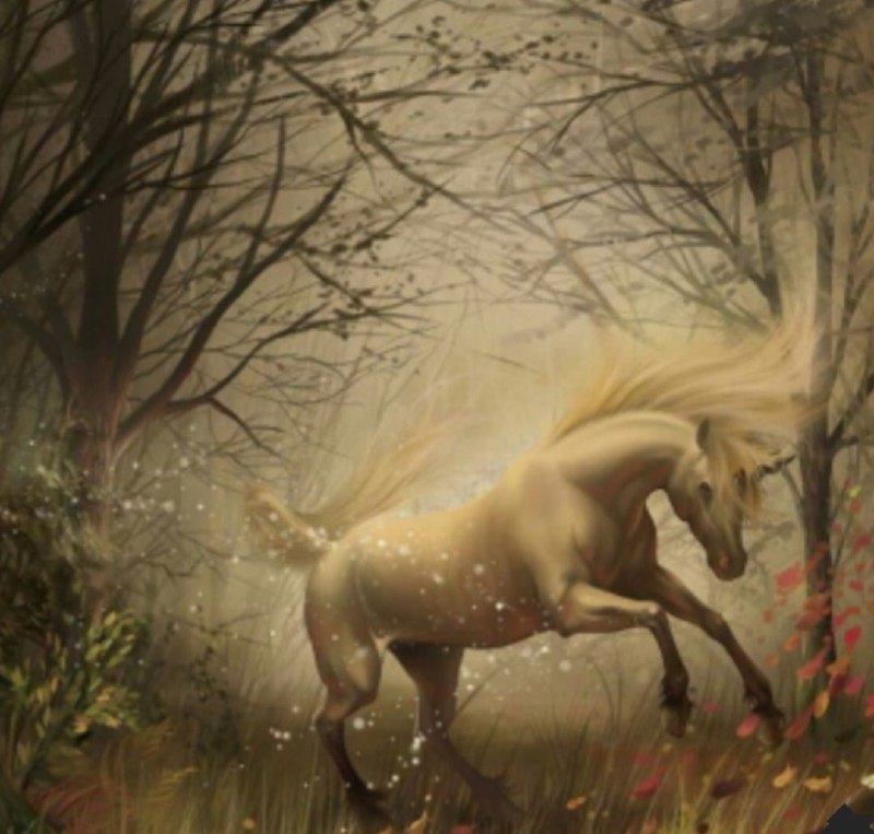 اسب ِ خیال ِ من