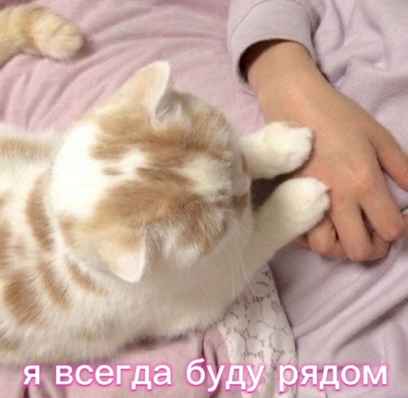 Нежная пикча 💗