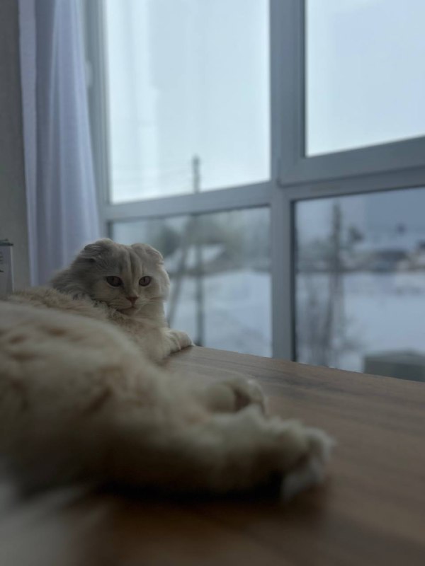 `Все доброго продуктивного дня***👍🏻***