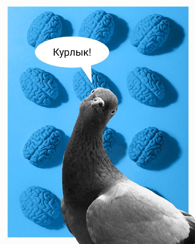 **4 популярных мифа о мозге, в …