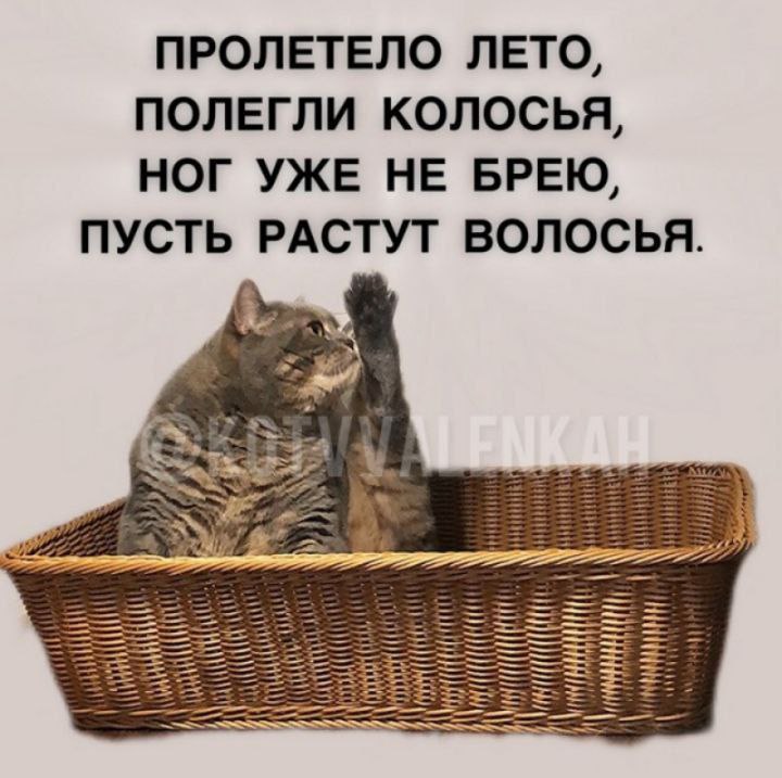 До весны не бреет,