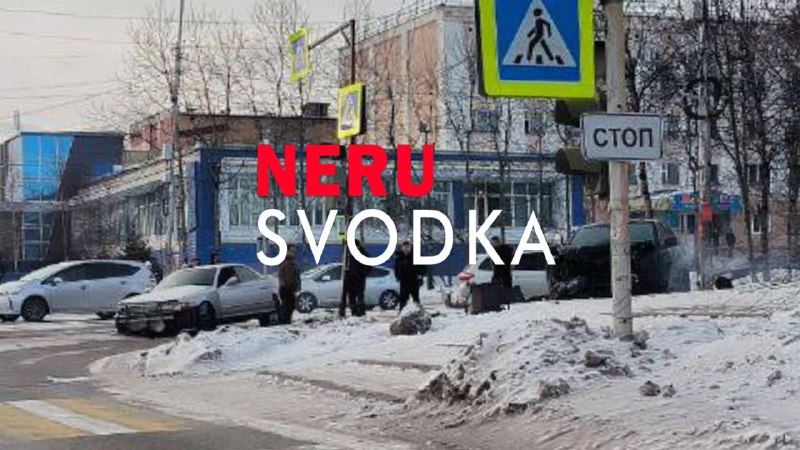 neru_svodka