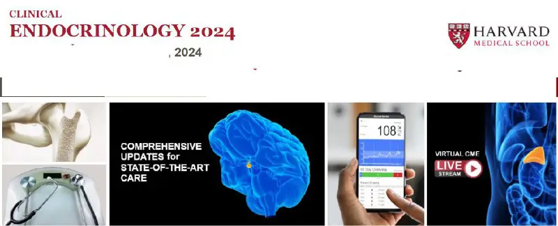 **Harvard Clinical Endocrinology 2024**