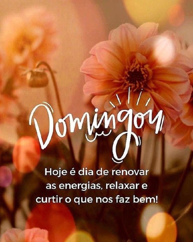 **Hoje é dia de renovar as …