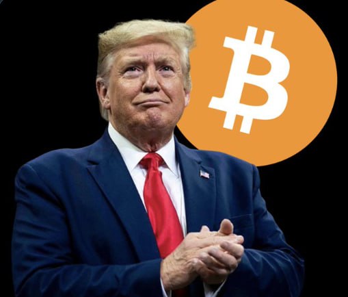 ***📌*** **Trump** [**официально**](https://x.com/BitcoinMagazine/status/1854053510905757841) побеждает, а значит …