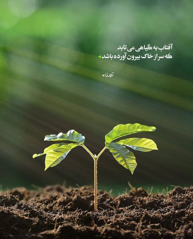 امید کـه طلوع امروز
