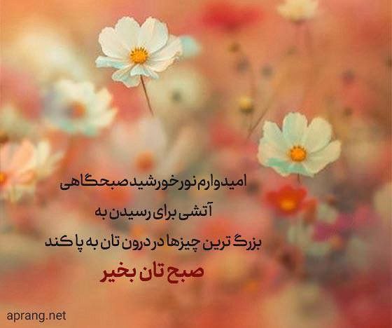 سلام