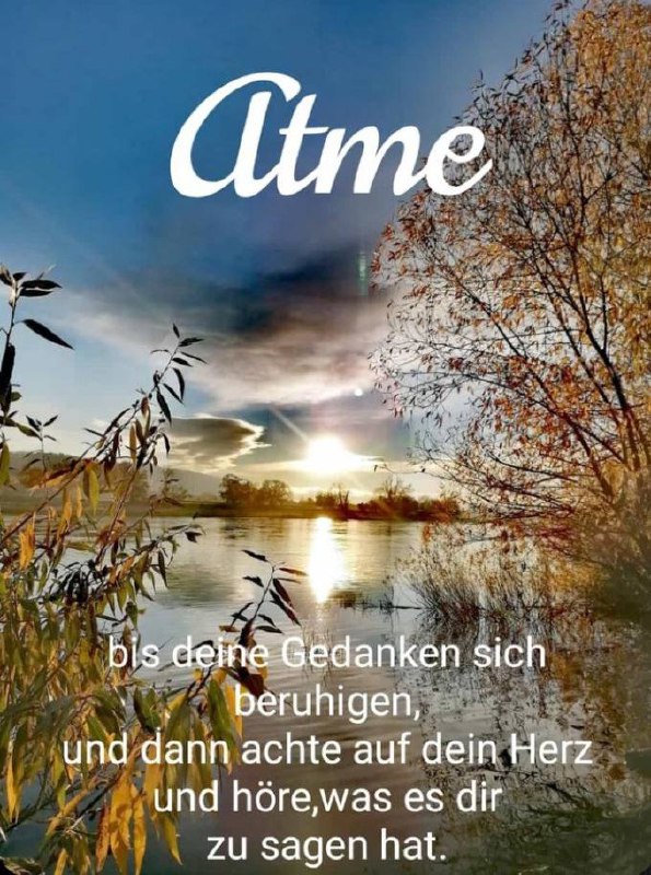 Guten Morgen ***☀️***