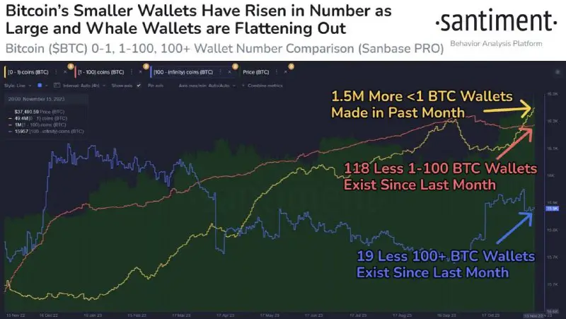 The number of wallets with balance …