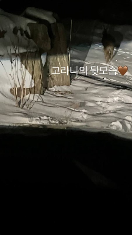 @/jeanzforfree [#HYEIN](?q=%23HYEIN) INSTAGRAM STORY UPDATE