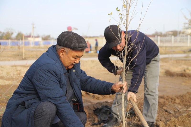 New Muynak City