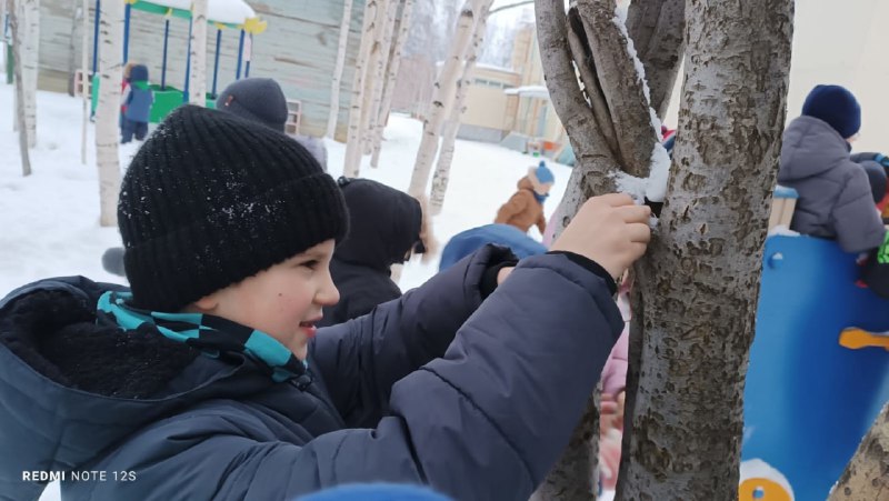 Новости Мирный Якутия