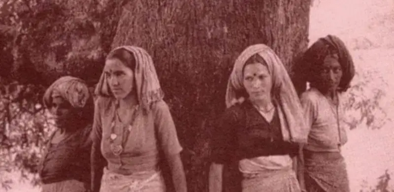 From Hugs to Rights: Chipko Movement’s Legacy in Forest Conservation