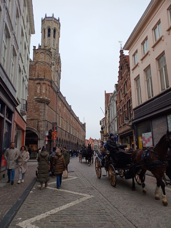 ***🇧🇪******♥️***
