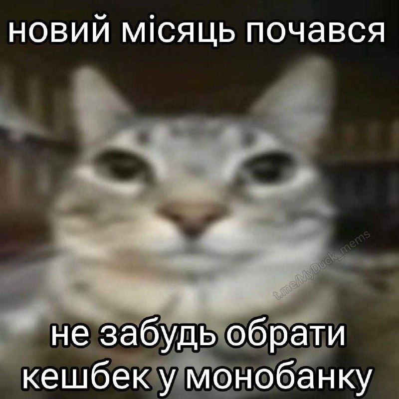 Nezhar v żabu
