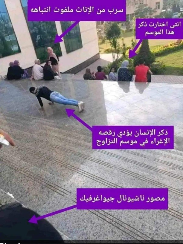 حينما يتمثل العفن البشري بمحاولة البشر …