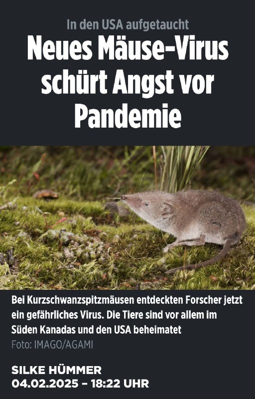 Es geht wieder los
