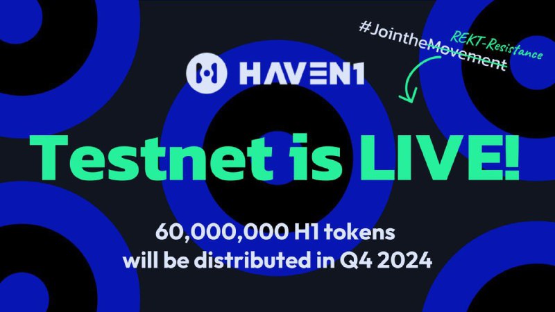 **Проходим тестнет от Haven1 - Pool: …