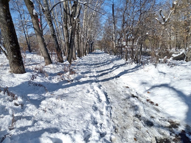 ***❄️***На Дальнем Востоке в январе сохранится …