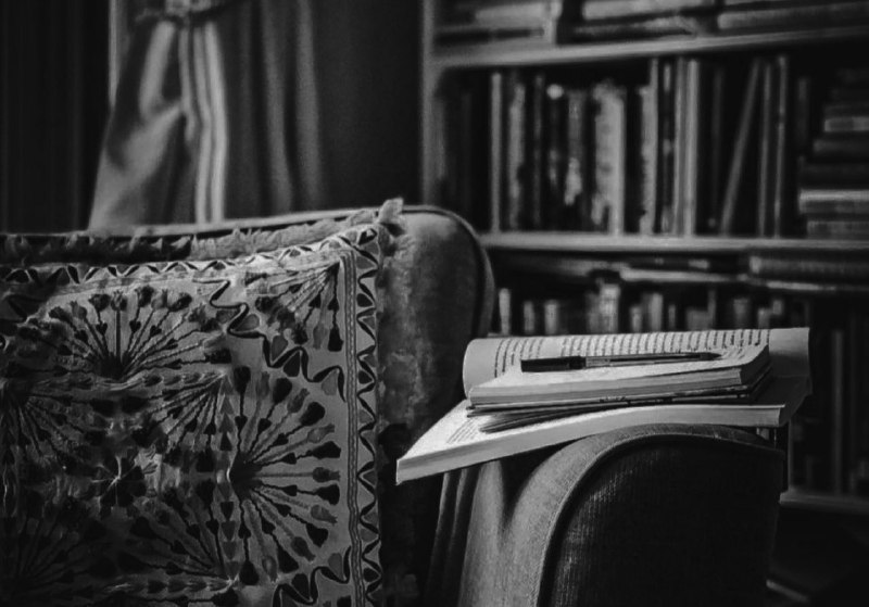 - ينبغي على النساء المسلمات أن …