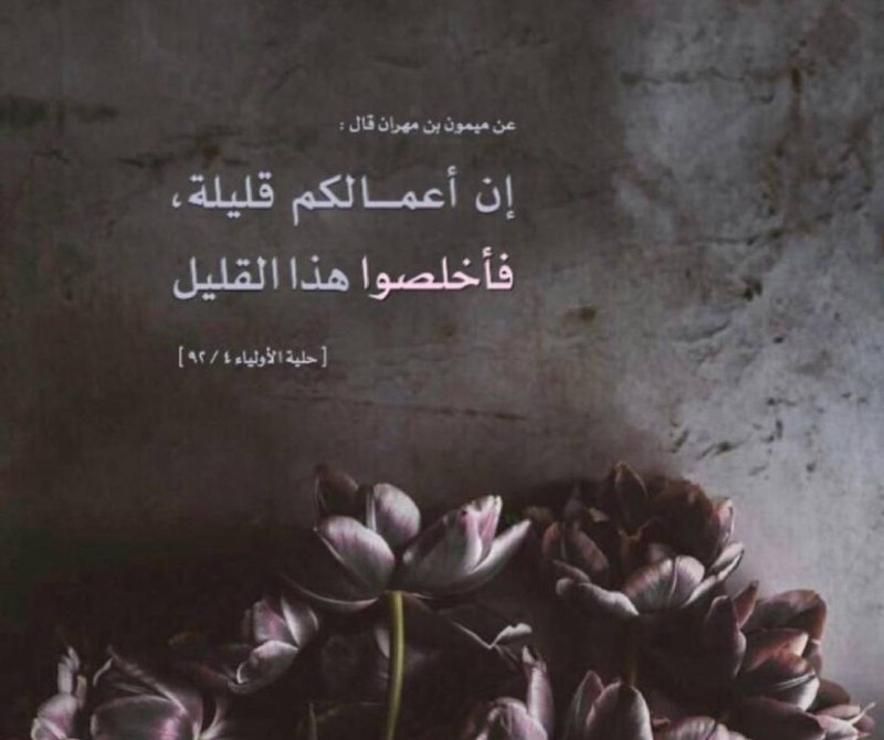 نبراس الأثر✨