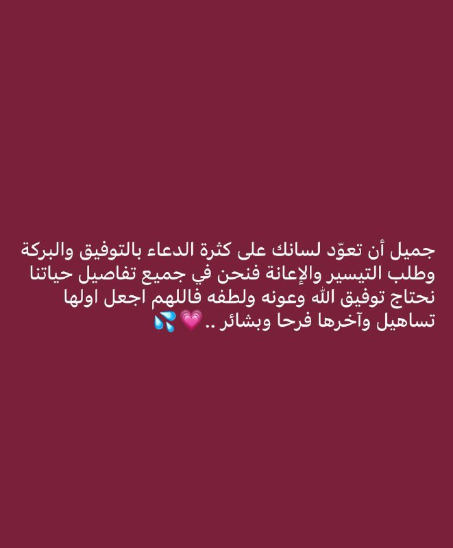نبراس الأثر✨