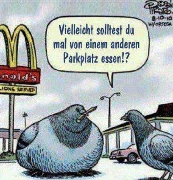 Nicht noch ein Kanal 😂🤣😆🥳😂🤣😂