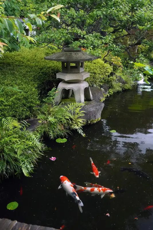 [#Japan](?q=%23Japan) [#Kamakura](?q=%23Kamakura) [#Garden](?q=%23Garden)