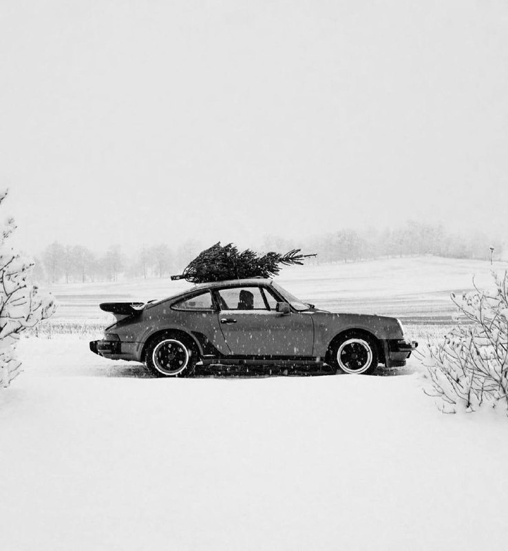 В Мск максимально новогодняя погода. Снег …