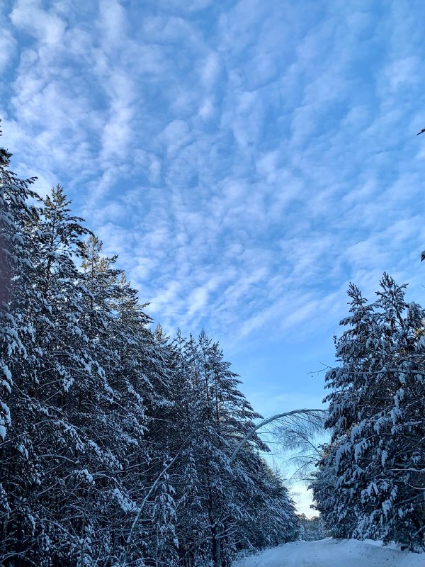 ***☃️*** Приглашаем вас на