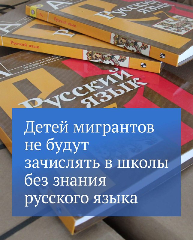 В ГД внесут законопроект о запрете …