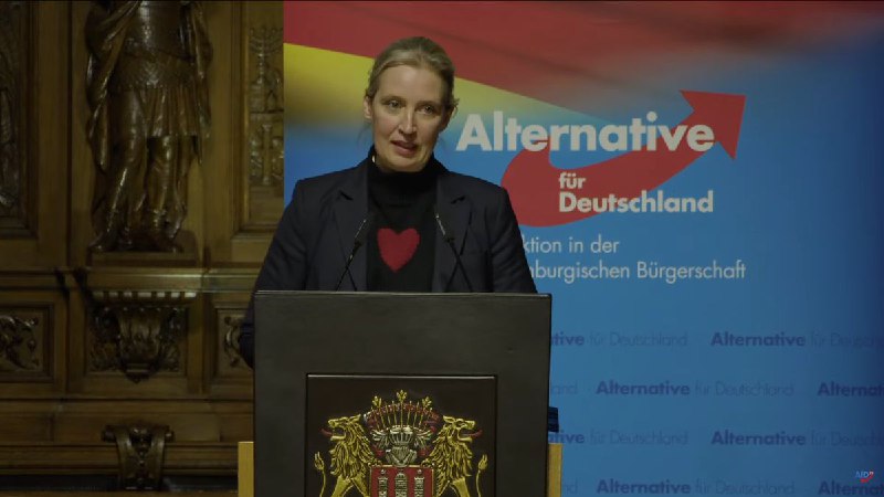 AfD-leider Alice Weidel wil dat er …