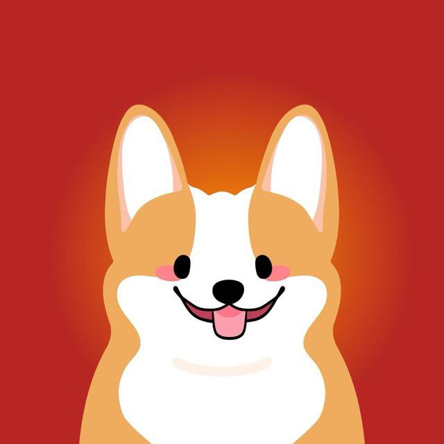 ***?*** **Corgi Inu | Update** ***?***