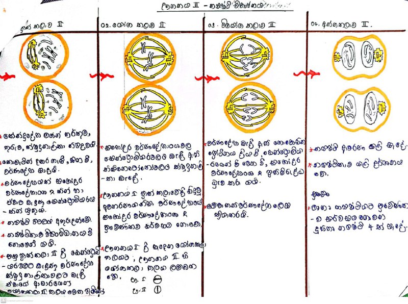 BIO CHART AND TABLES👩‍⚕️👨‍⚕️