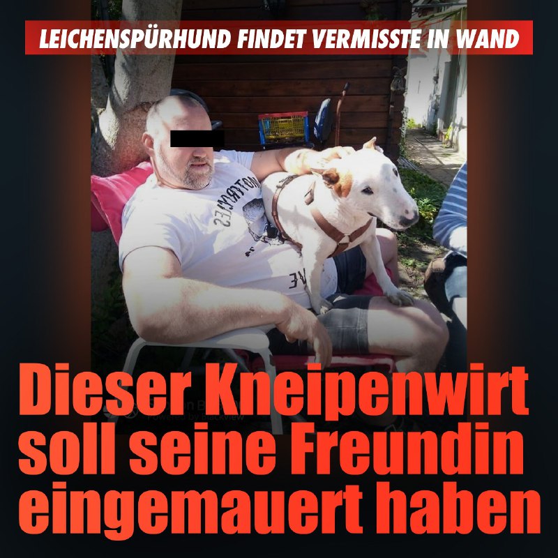 **Leichenspürhund findet Vermisste in Wand: Dieser …